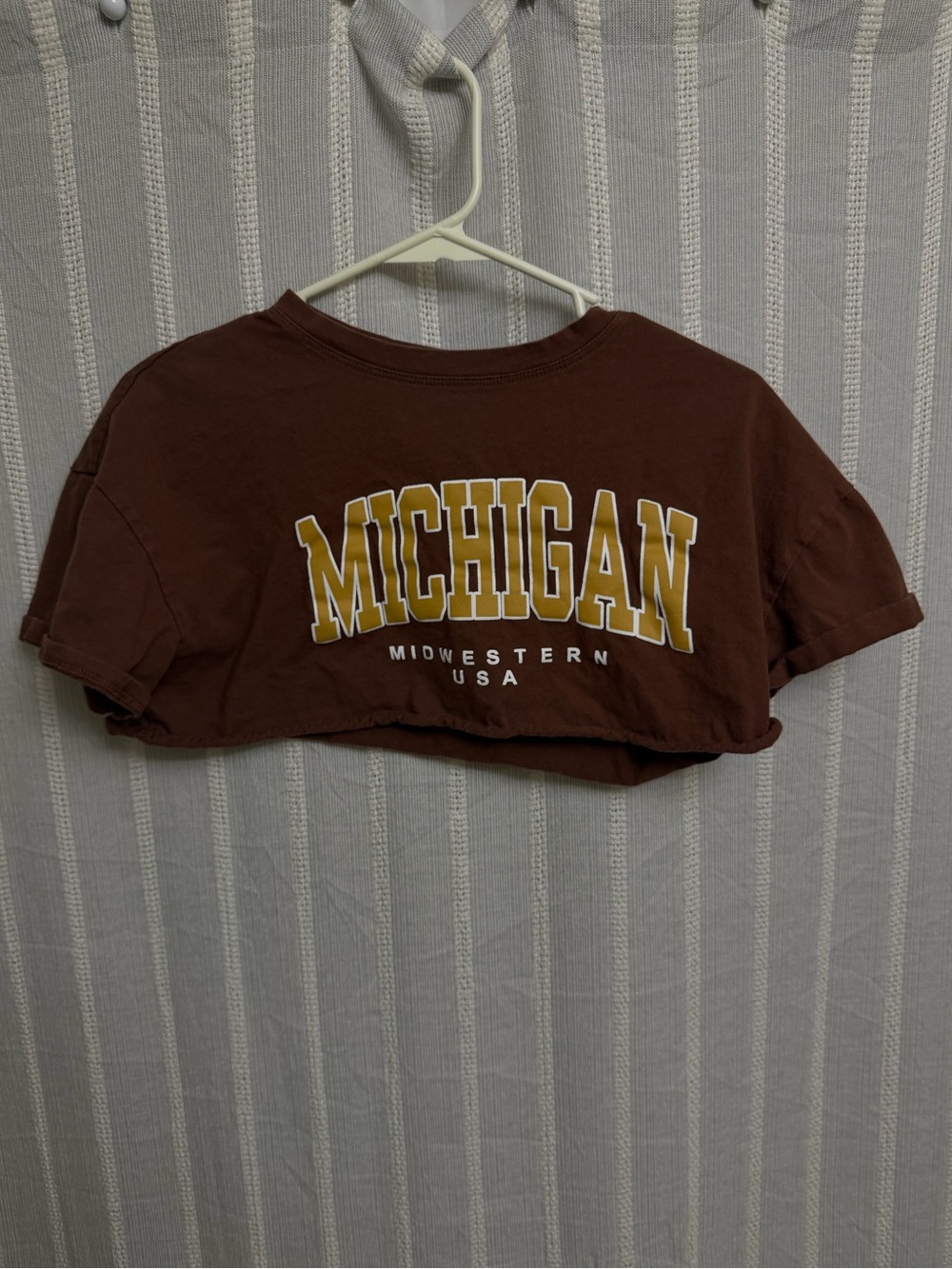 SHEIN Brown Michigan Midwestern USA Graphic Raw Hem Crop Top Size Small